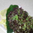 할매왕족발&치킨 이미지