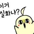 여주-0961 네이버블로그