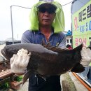 독도바다낚시터 이미지