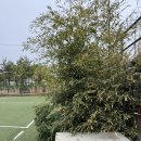 안산초입 화장실 | [대부도] 대가족여행 풀빌라 펜션 하이클래스 펜션 후기