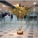 대건인테리어 - 아산시 휴대세교길 160-1 | 대건인테리어