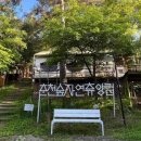 자연이네 이미지