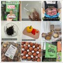 포에버퍼피 이미지