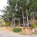 푸른숲캠핑장 이미지