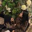 반포대로112 우리은행 앞 횡단보도 | 서울성모병원 플렌티 컨벤션 웨딩홀 하객 방문 후기, 주차장, 가는 방법, 코스 메뉴, 식사 후기 알려...