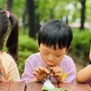 경희형제한의원 이미지