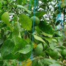 한시열농장 이미지