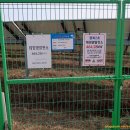 평화2태양광발전소 이미지