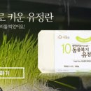 한유기농장 네이버블로그