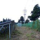 가시리 태양광발전소 이미지