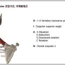 드래곤프로핏센터 이미지