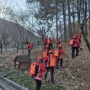 진화교육