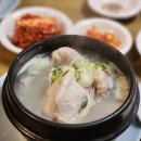 무교삼계탕 | [종각] 종각역 종로 인사동 '무교 삼계탕' 직장인 점심 맛집 솔직후기