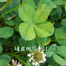 기를품은 이미지