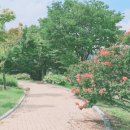 마애선사유적전시관 이미지