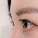 디디다(DIDIDA) 네이버블로그