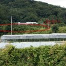 큰개마을 이미지