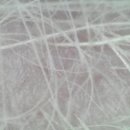 521펫살롱 이미지