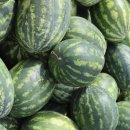 엄마의생활 이미지