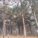 연천군마전리보건진료소 이미지