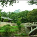 오가네상사 | 문경 / 숲길따라 ~ 물길따라 가는 ~~ 문경새재길 (2-2)