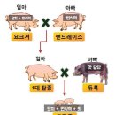 라크젠