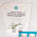 푼푼샌드 이미지