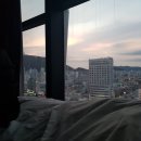 부산 브라운도트 민락점 디럭스(시티뷰) 더블 후기