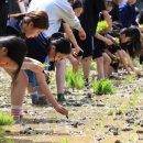 수락중학교 이미지