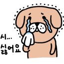 논현모터스 이미지