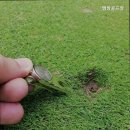 상맹방길 네이버블로그