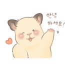 카페나도미