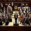 브라우너 이미지