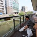 도림천 산책로5 이미지