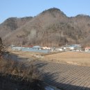 연정2리 Daum카페