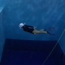 (주)웨이트포유 | 창원 프리다이빙 자격증 취득기 다이브포유 2 ,3회차 꿀잼