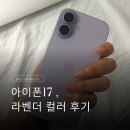 라벤더 | 아이폰17 색상 순위 비교 정리, 라벤더 컬러 후기
