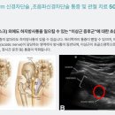 영통단단마디의원 이미지