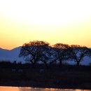 아침들녘 이미지