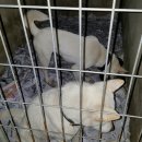 뉴 리더 이미지