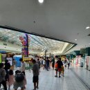 용평한우관 | 소노펠리체 홍천 비발디파크 1박2일 여행 및 토요일 방 없을때 예약 부킹하는 방법