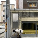 분더펫 | 대구 삼덕동 카페 / 컨셉부자 힙한카페 #공떡