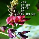 981회 개화산둘레길걷기(꿀굴대장님리딩) 이미지