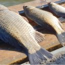 이천낚시터 이미지