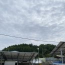 장수송어회식당 이미지