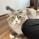 샤론민박 이미지