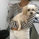 오룡 동물병원 이미지