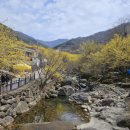 광양온천장 이미지