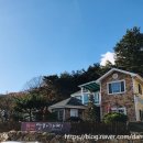 담하가비 이미지