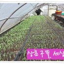 정경농장 이미지